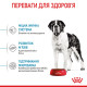 Royal Canin Giant Junior сухой корм для юниоров гигантских пород 15 кг - фото 4