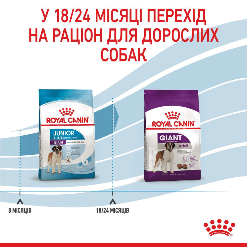 Royal Canin Giant Junior сухой корм для юниоров гигантских пород 15 кг - фото 6