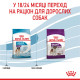 Royal Canin Giant Junior сухой корм для юниоров гигантских пород 15 кг - фото 6