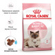 Royal Canin Babycat сухой корм для котят до 4-х месяцев 400 гр - фото 2