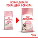 Royal Canin Babycat сухой корм для котят до 4-х месяцев 400 гр - фото 6