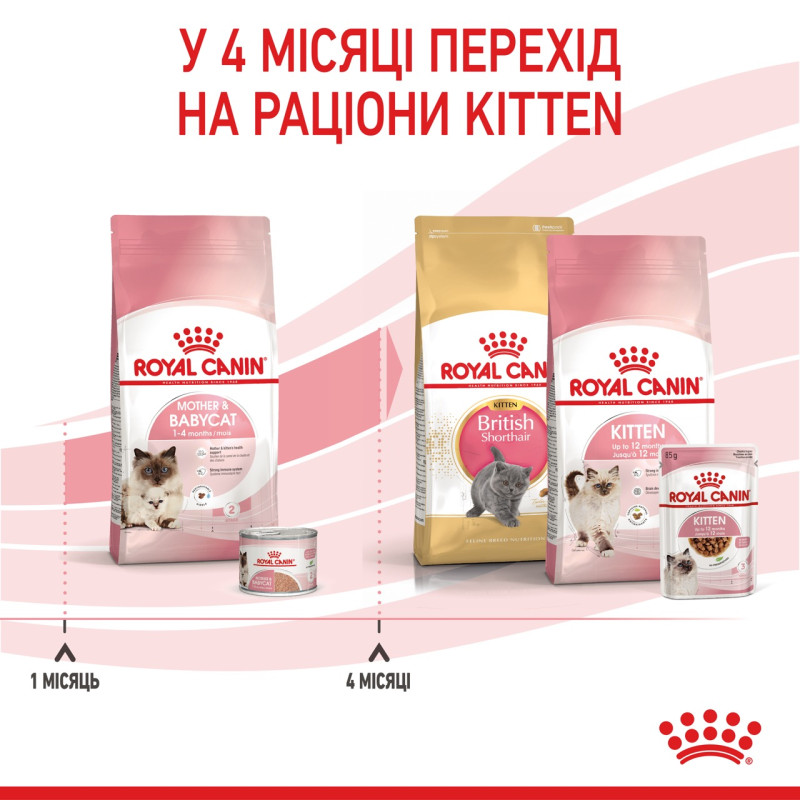 Royal Canin Babycat сухой корм для котят до 4-х месяцев 400 гр - фото 7