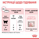 Royal Canin Babycat сухой корм для котят до 4-х месяцев 400 гр - фото 9
