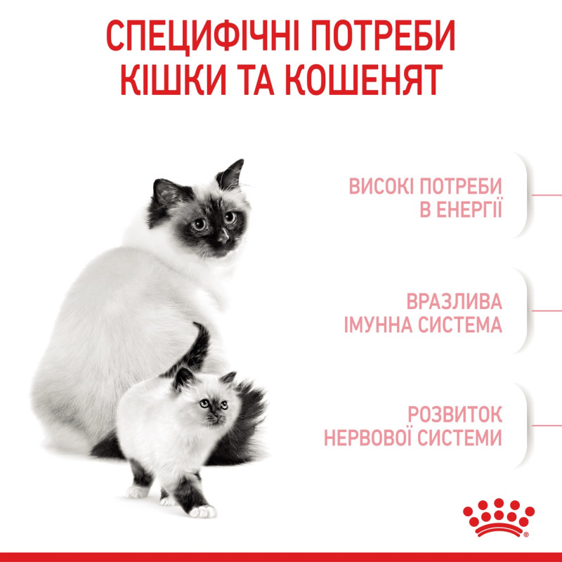 Royal Canin Babycat сухой корм для котят до 4-х месяцев 2 кг - фото 3