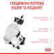 Royal Canin Babycat сухой корм для котят до 4-х месяцев 2 кг - фото 3
