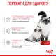 Royal Canin Babycat сухой корм для котят до 4-х месяцев 2 кг - фото 4