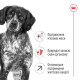 Royal Canin Medium Adult 7+ сухой корм для пожилых собак средних пород 4 кг - фото 2