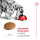 Royal Canin Medium Adult 7+ сухой корм для пожилых собак средних пород 4 кг - фото 4
