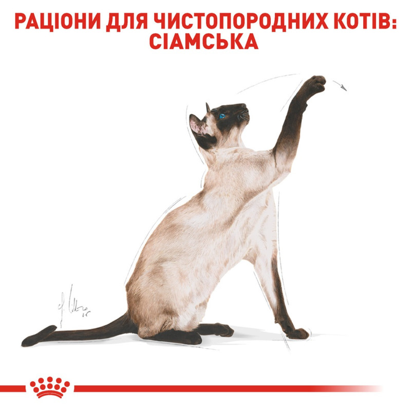 Royal Canin Siamese сухой корм для сиамских котов 400 гр - фото 3