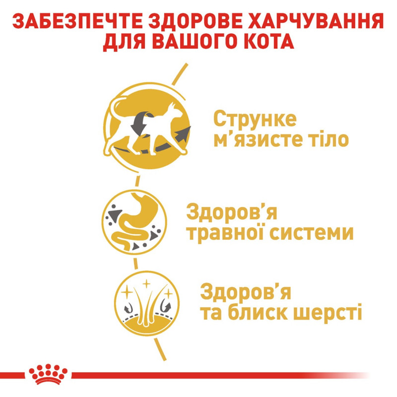 Royal Canin Siamese сухой корм для сиамских котов 400 гр - фото 5