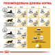 Royal Canin Siamese сухой корм для сиамских котов 400 гр - фото 8