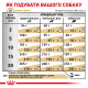 Royal Canin Urinary S/O сухой корм для собак с мочекаменной болезнью 2 кг - фото 8