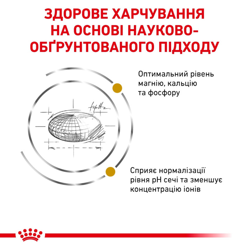 Royal Canin Urinary S/O Feline сухой корм для котов с мочекаменной болезнью 3.5 кг - фото 2