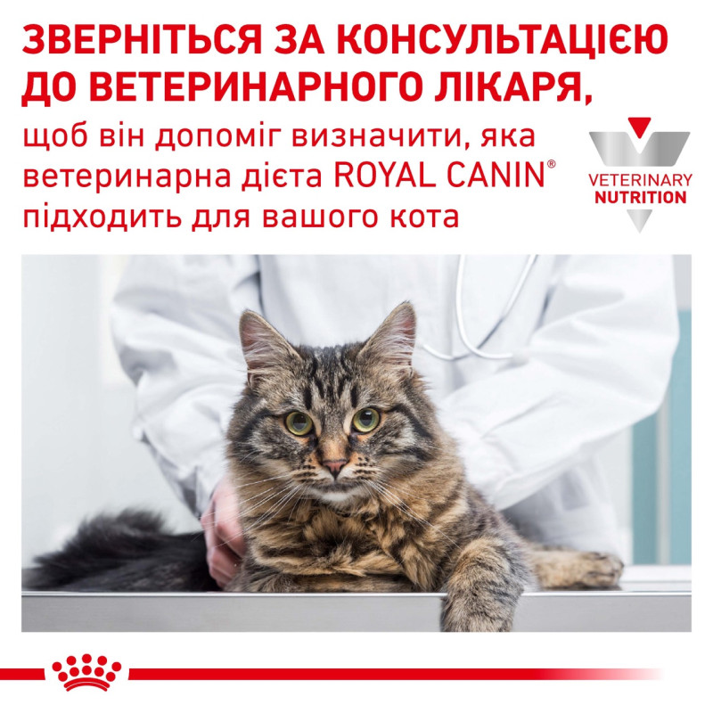 Royal Canin Urinary S/O Feline сухой корм для котов с мочекаменной болезнью 3.5 кг - фото 9