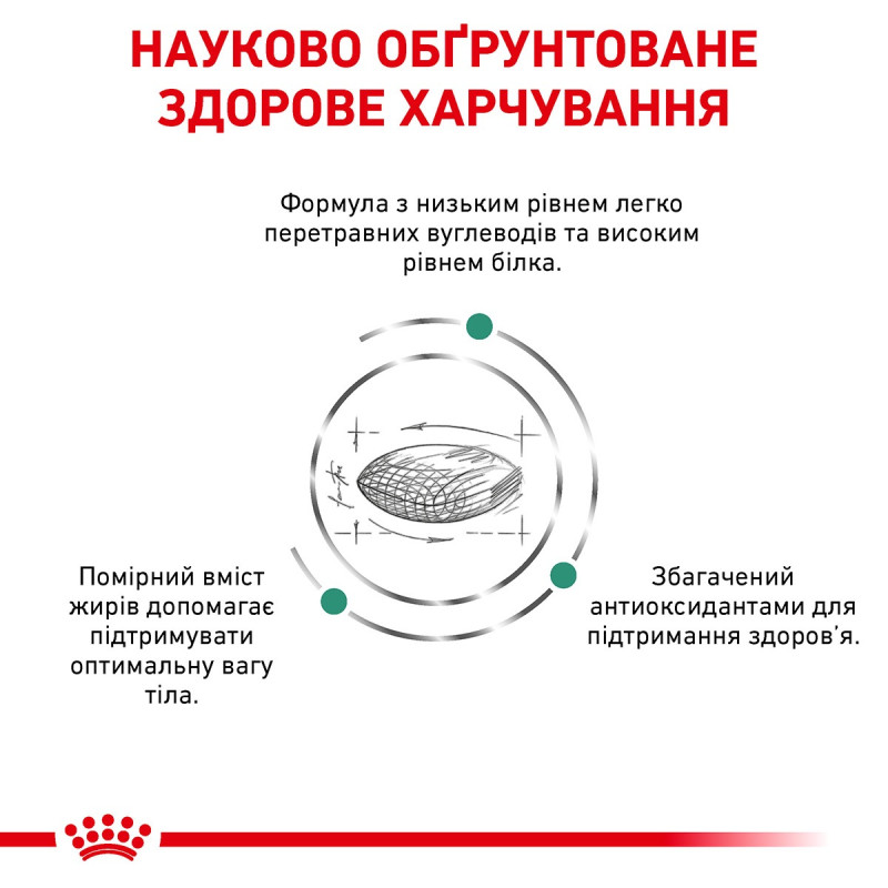Royal Canin Diabetic Feline сухой корм для котов с диабетом 1.5 кг - фото 3