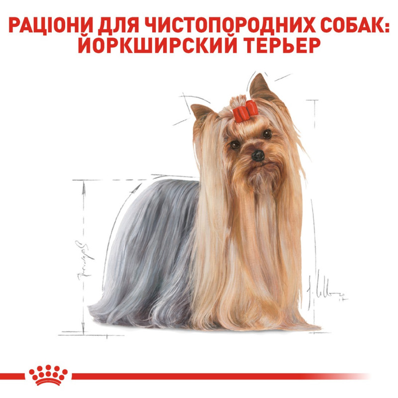 Royal Canin Yorkshire Terrier Adult сухой корм для собак породы йоркширский терьер 1.5 кг - фото 3