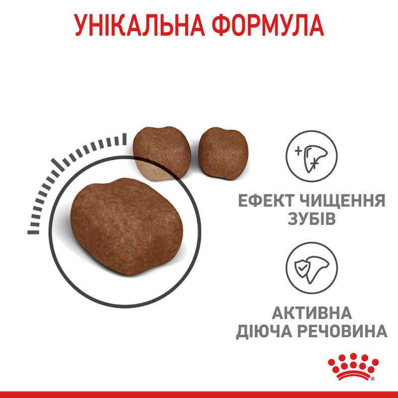 Royal Canin Dental Care сухой корм для здоровья ротовой полости и зубов у котов 1.5 кг - фото 7