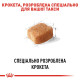 Royal Canin Dachshund Adult сухой корм для собак породы такса 1.5 кг - фото 4