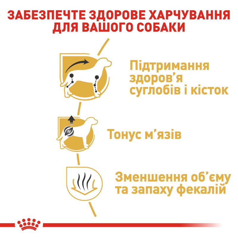 Royal Canin Dachshund Adult сухой корм для собак породы такса 1.5 кг - фото 5