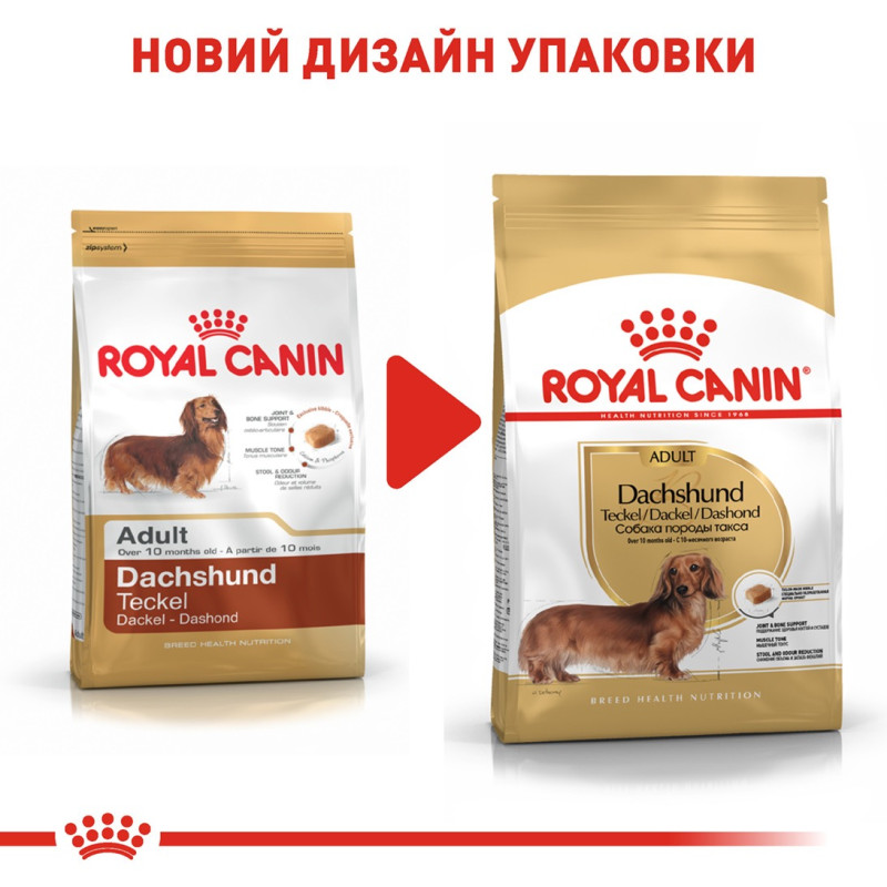 Royal Canin Dachshund Adult сухой корм для собак породы такса 1.5 кг - фото 6