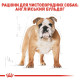 Royal Canin Bulldog Adult сухий корм для собак породи бульдог 3 кг - фото 3