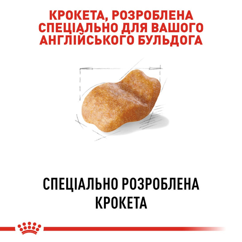 Royal Canin Bulldog Adult сухий корм для собак породи бульдог 3 кг - фото 4