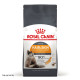 Royal Canin Hair & Skin Care сухий корм для здоров'я шкіри та краси вовни у котів 2 кг - фото 2