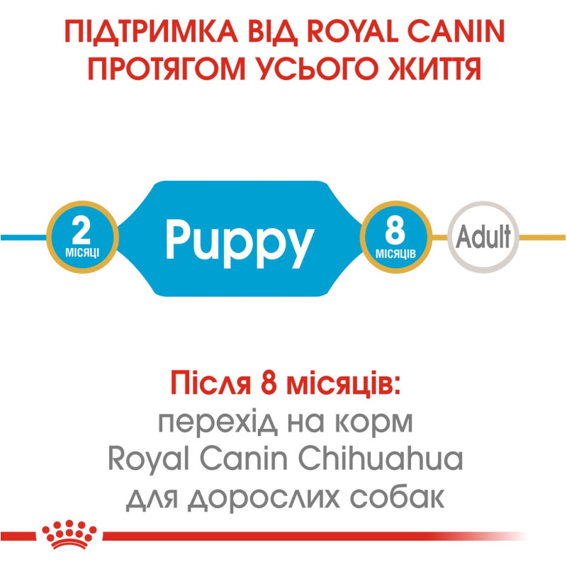 Royal Canin Chihuahua Puppy сухой корм для щенят породы чихуахуа 0.5 кг - фото 2