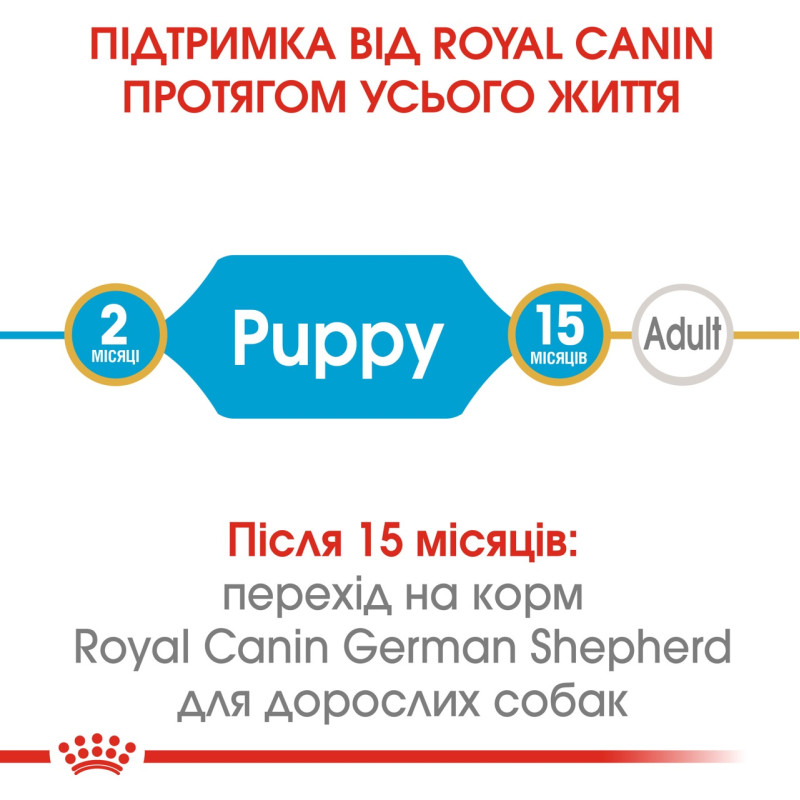 Royal Canin German Shepherd Puppy сухой корм для щенят породы немецкая овчарка 12 кг - фото 2