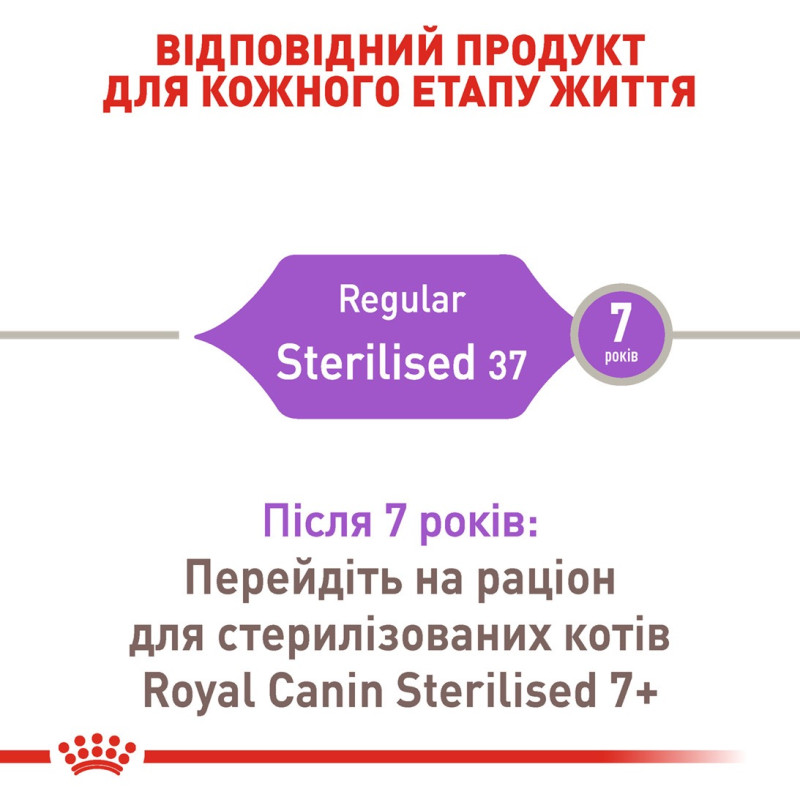 Royal Canin Sterilised сухой корм для стерилизованных котов 400 гр - фото 2