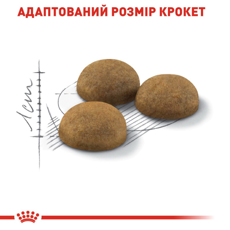 Royal Canin Indoor Long Hair сухой корм для длинношерстных котов, живущих в помещении, 400 гр - фото 4