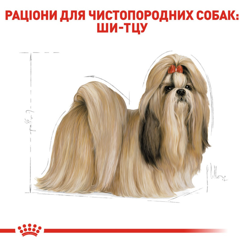 Royal Canin Shih Tzu сухой корм для собак породы Ши-тцу 1.5 кг - фото 3