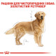 Royal Canin Golden Retriever Adult сухой корм для собак породы голден ретривер 12 кг - фото 3