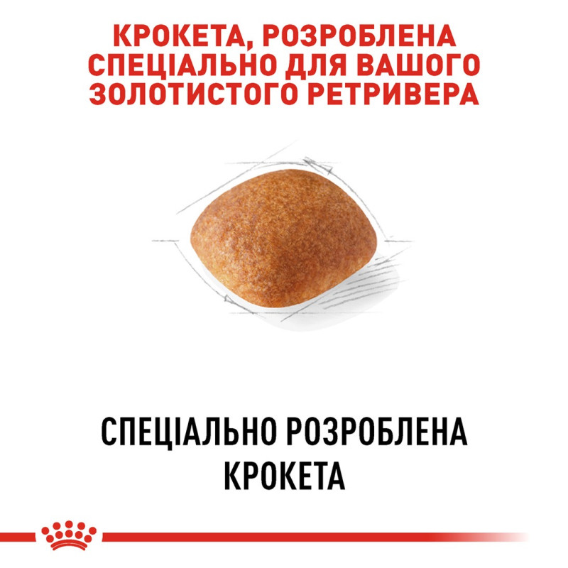 Royal Canin Golden Retriever Adult сухой корм для собак породы голден ретривер 12 кг - фото 4