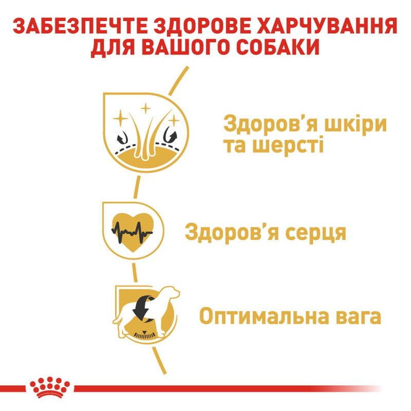 Royal Canin Golden Retriever Adult сухой корм для собак породы голден ретривер 12 кг - фото 5
