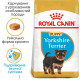Royal Canin Yorkshire Terrier Puppy сухой корм для щенят породы йоркширский терьер 0.5 кг - фото 2