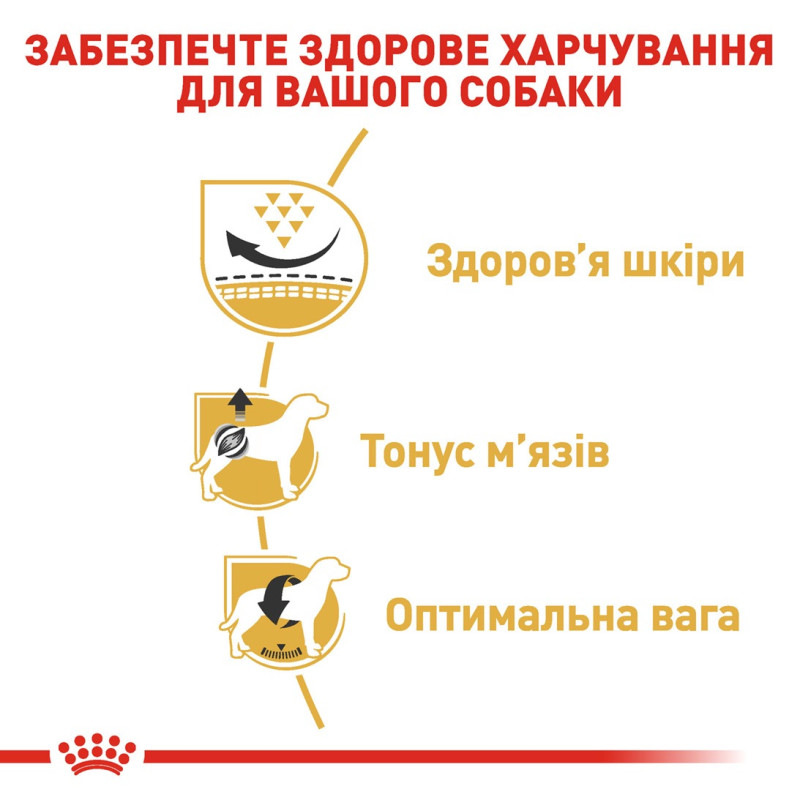 Royal Canin Pug Adult сухой корм для собак породы мопс 1.5 кг - фото 5