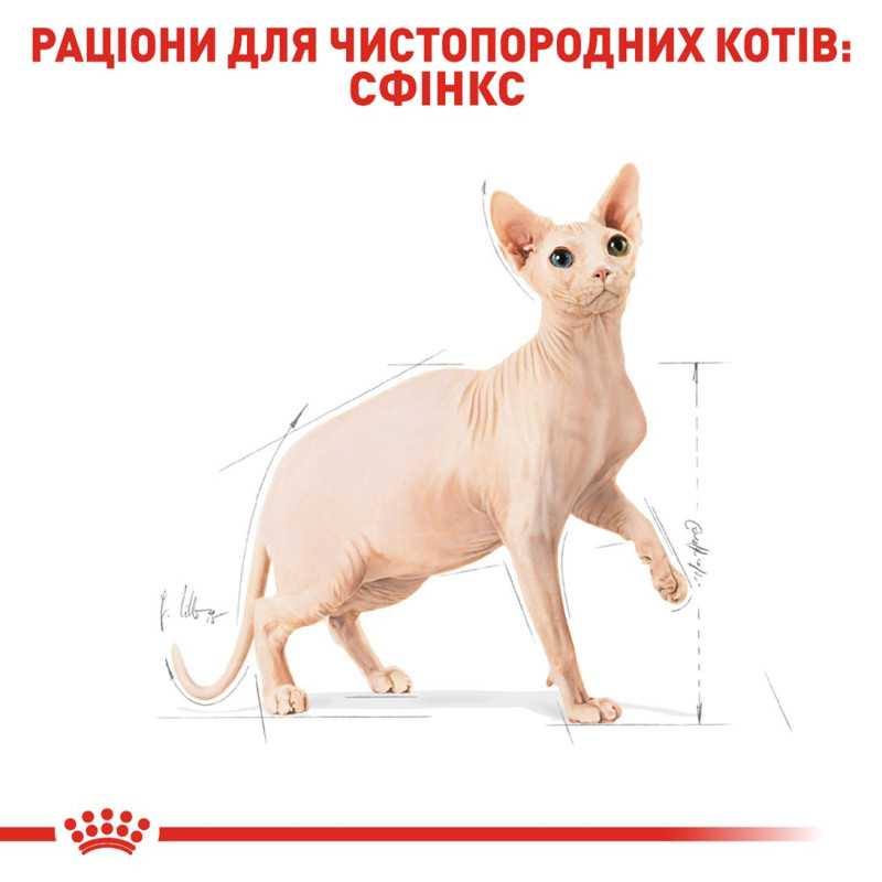 Royal Canin Sphynx сухой корм для котов породы сфинкс 2 кг - фото 3