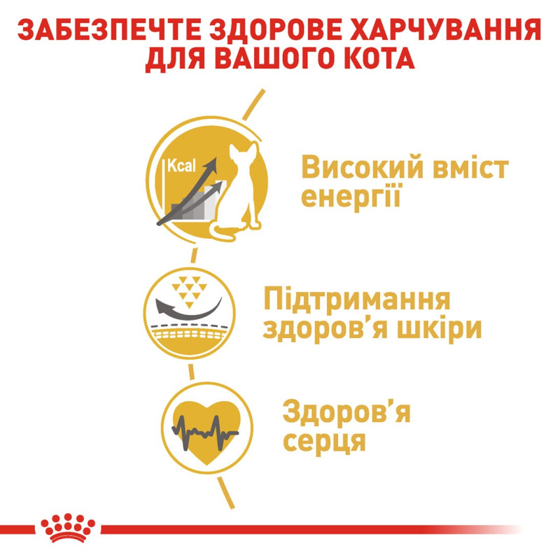 Royal Canin Sphynx сухой корм для котов породы сфинкс 2 кг - фото 5