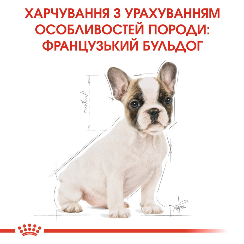 Royal Canin French Bulldog Puppy сухой корм для щенят породы французский бульдог 1 кг - фото 6