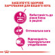Royal Canin Exigent Protein Preference сухой корм для привередливых котов 2 кг - фото 3
