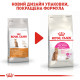 Royal Canin Exigent Protein Preference сухой корм для привередливых котов 2 кг - фото 7