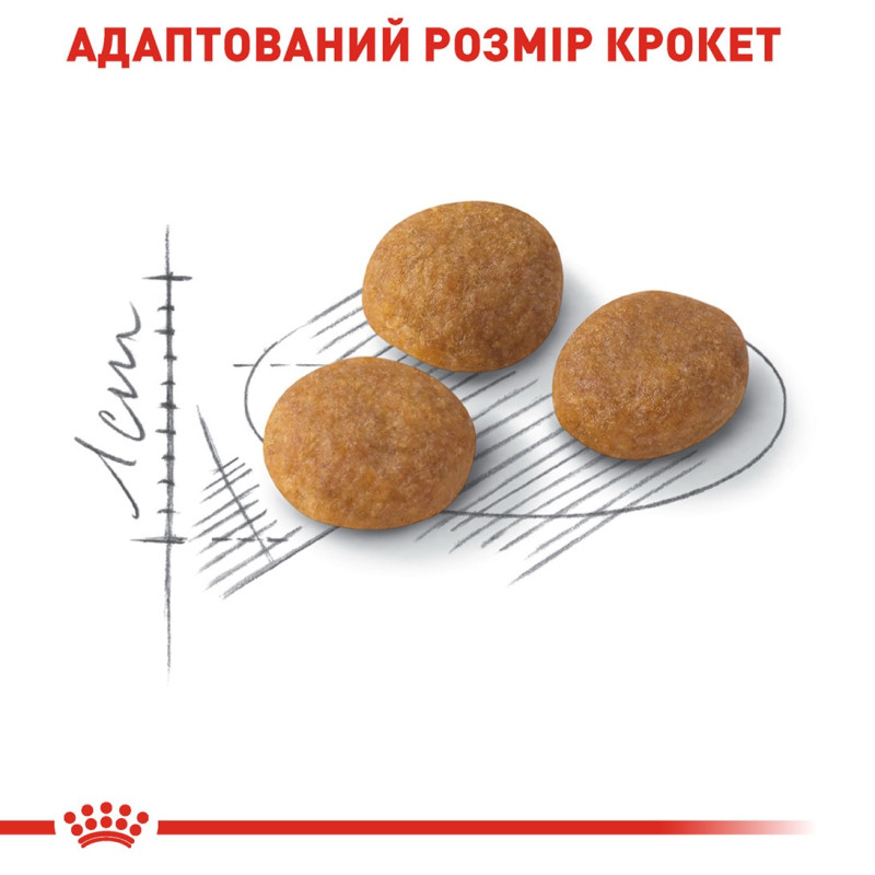 Royal Canin Exigent Aromatic Attraction сухой корм для привередливых котов 2 кг - фото 4
