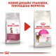 Royal Canin Exigent Aromatic Attraction сухой корм для привередливых котов 2 кг - фото 6