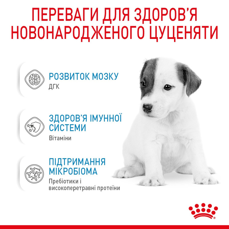 Royal Canin Babydog Milk заменитель молока для щенят, 2 кг - фото 3