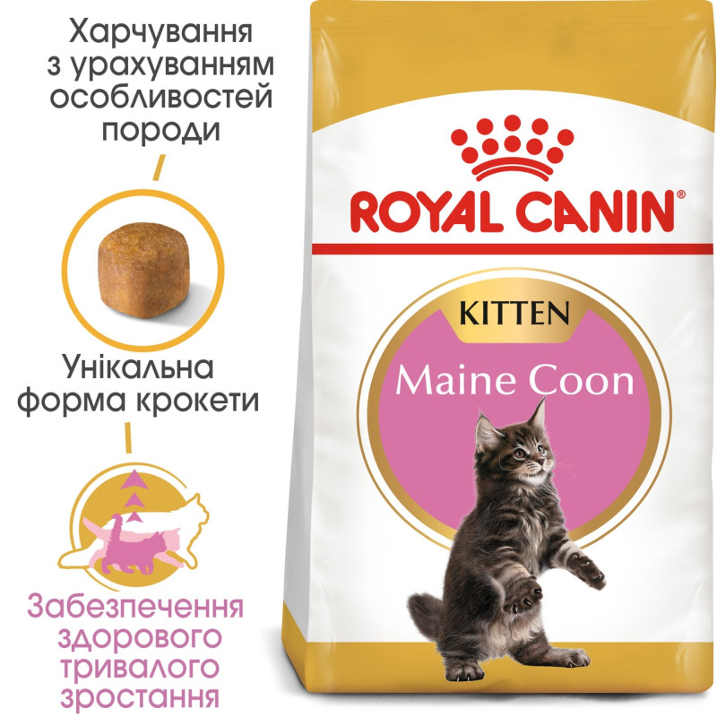 Royal Canin Maine Coon Kitten сухой корм для котят породы мейн-кун 400 гр - фото 2