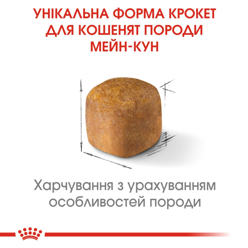 Royal Canin Maine Coon Kitten сухой корм для котят породы мейн-кун 400 гр - фото 4