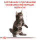 Royal Canin Maine Coon Kitten сухой корм для котят породы мейн-кун 400 гр - фото 6