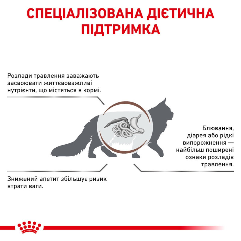 Royal Canin Gastrointestinal Feline сухой корм для котов при нарушениях пищеварения 4 кг - фото 2