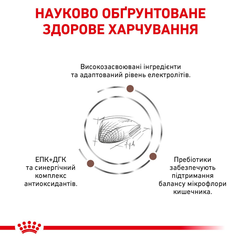 Royal Canin Gastrointestinal Feline сухой корм для котов при нарушениях пищеварения 4 кг - фото 3